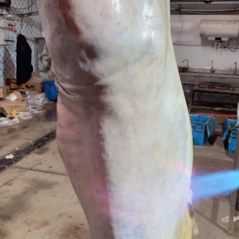 【闪购商品】冷冻保存30天包装河北省小****学