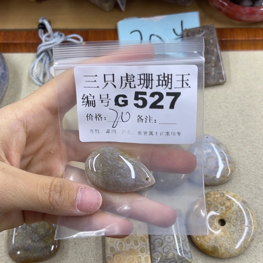 T***y硅化珊瑚（珊瑚玉）未镶嵌h