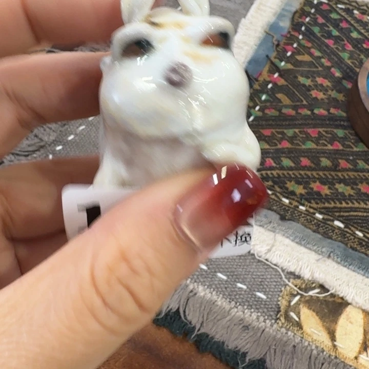 C***h陶瓷呀呀呀呀呀呀呀呀呀呀