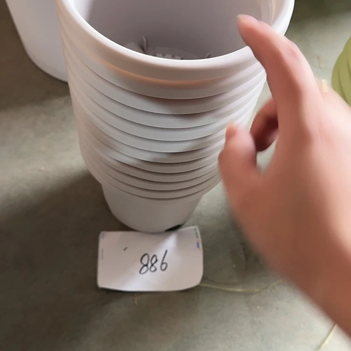 编号886瑕疵12个无托