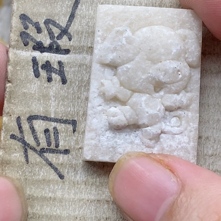 颈饰未镶嵌硅化珊瑚（珊瑚玉）乁****ㄏ小