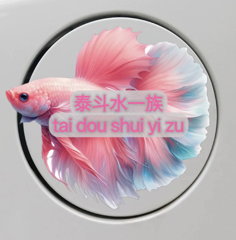 （编号226-265）泰国斗鱼精品半月将军观赏鱼