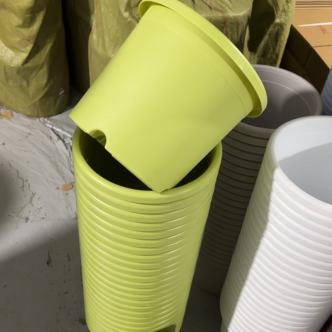 微瑕5号6个无托，果绿