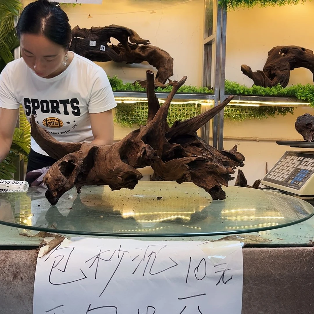 咔***嚓柚木沉木鱼缸造景