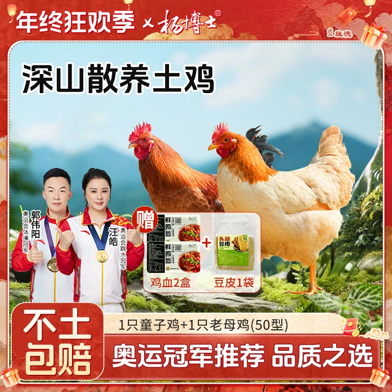 杨博士 【母子组合】散养土鸡老母鸡+童子鸡新鲜现杀 包冰率不含冰