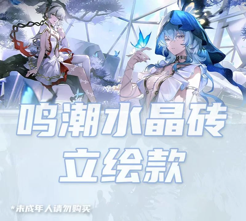 插队!!【鸣潮】第一弹-雪圆文创 周边亚克力高清透水晶砖