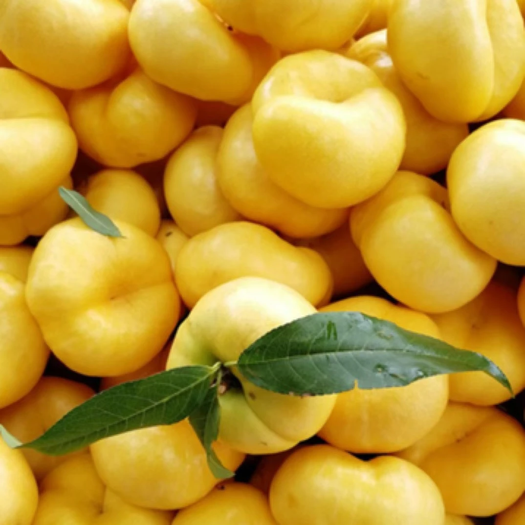 平谷大桃特价礼盒4斤装 顺丰包邮（随机发货，有遐思，保好吃。）