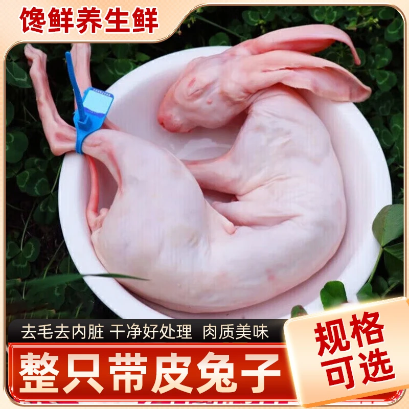 整只带皮兔子白条去毛去内脏新鲜速冻整只带兔头兔腿兔子生鲜