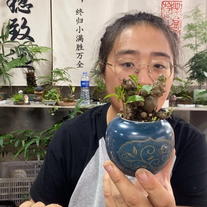 生***样无花朵一物一拍77