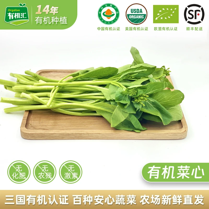 有机汇有机菜心有机蔬菜绿叶菜小青菜时令新鲜蔬菜500g