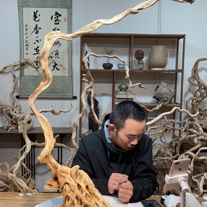 榕***品香榧木杜鹃啼血猿哀鸣三