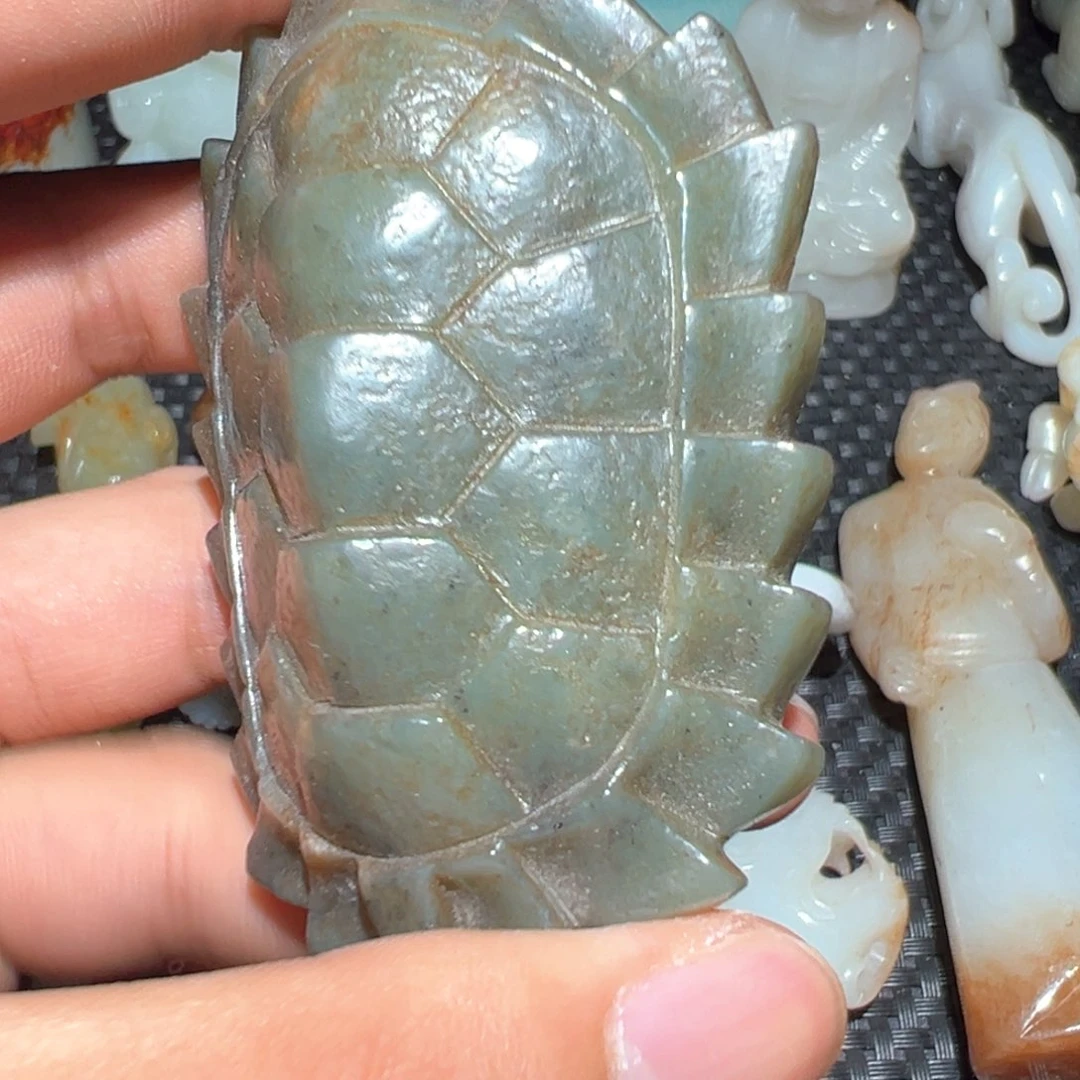 缸一物一图 所见所得