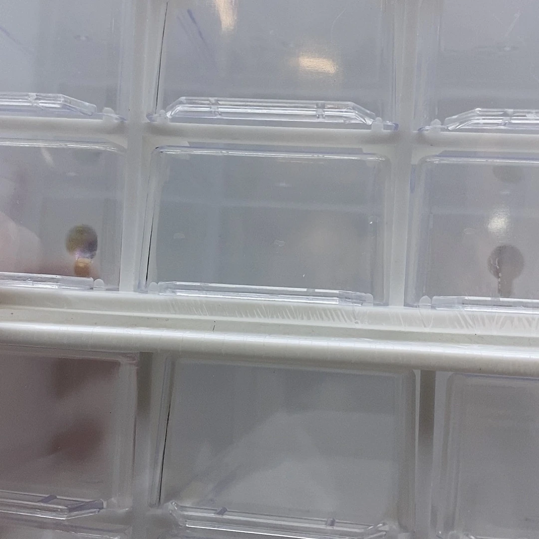 颈饰合金淡水珍珠