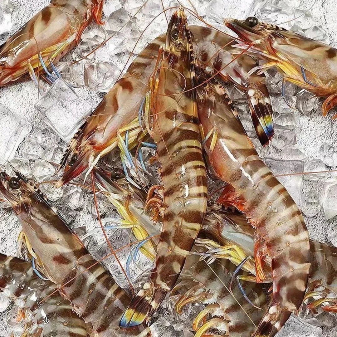 【断氧】大连本地基围虾-高蛋白减脂好物签收8小时内售后