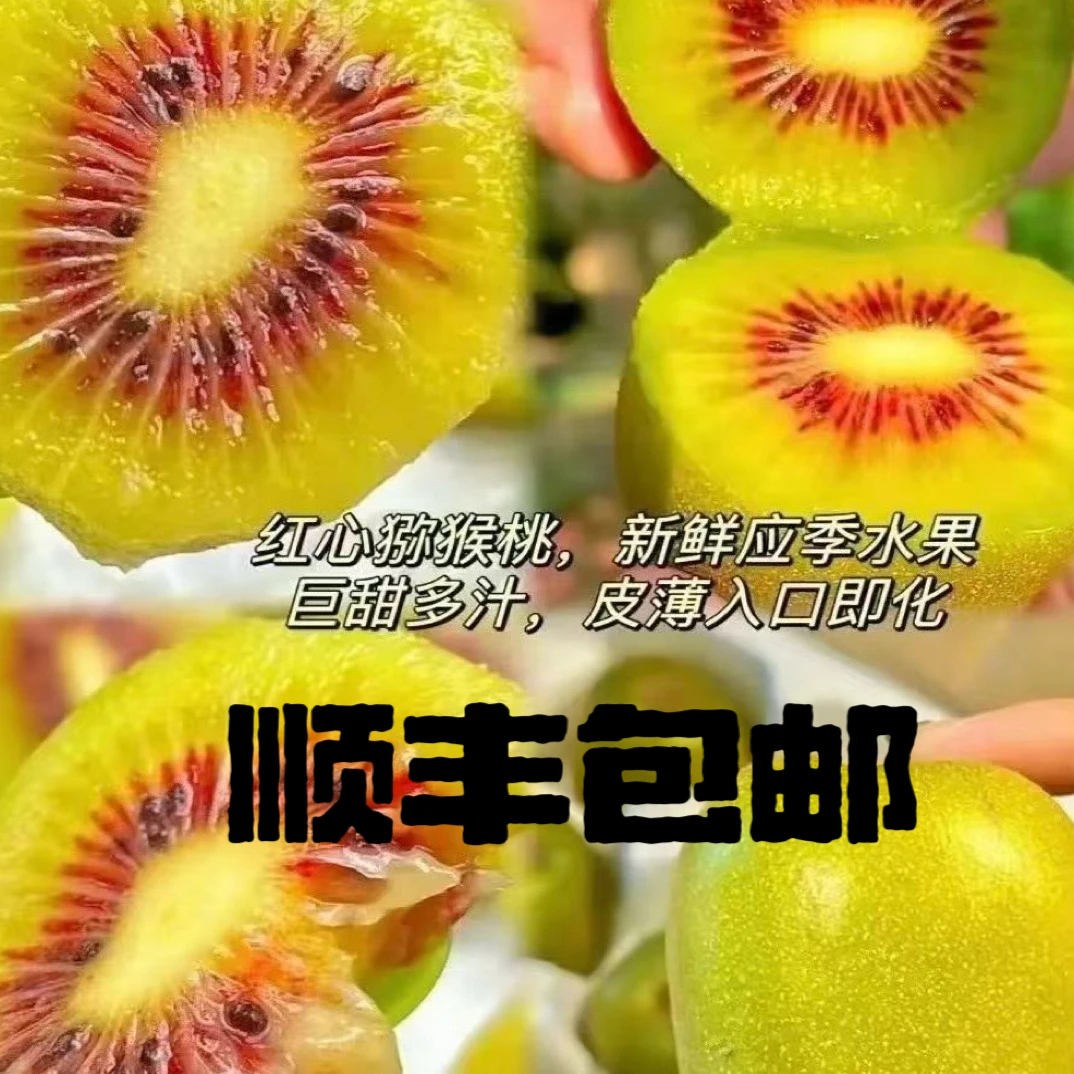古蔺高山红心猕猴桃新鲜当季大果孕妇水果奇异果超甜多汁