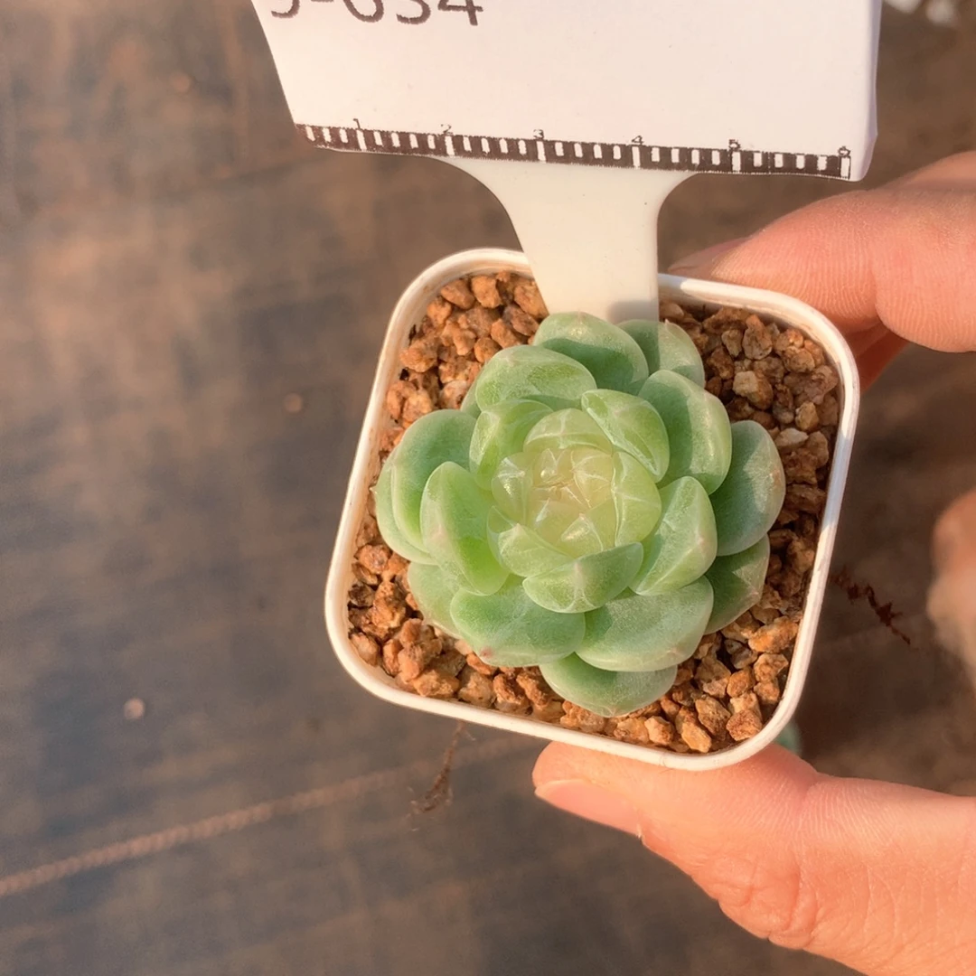 白心财富密码精品58包邮