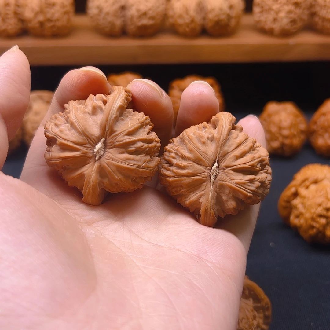 核桃把件白狮子42全品