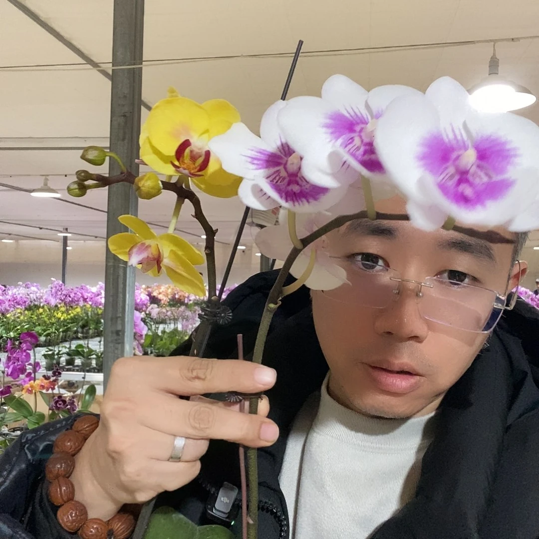 完全开放黄白组合1单两颗掉花瑕疵