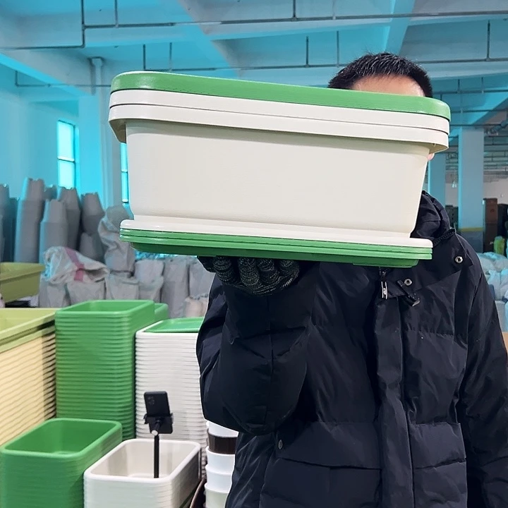 特价小菜盆长38.5宽29高15果绿带托3只