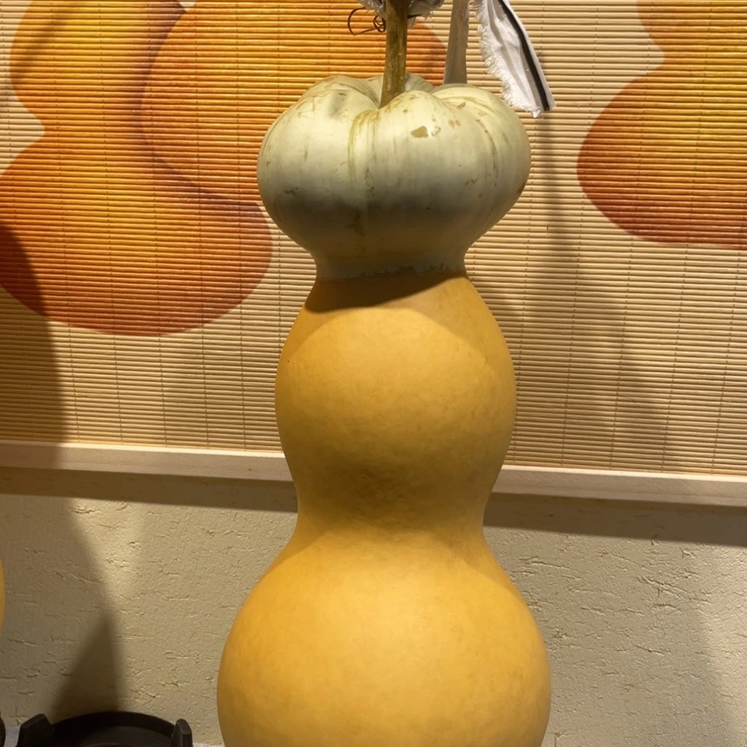 世***傻仿木不包邮不保龙头