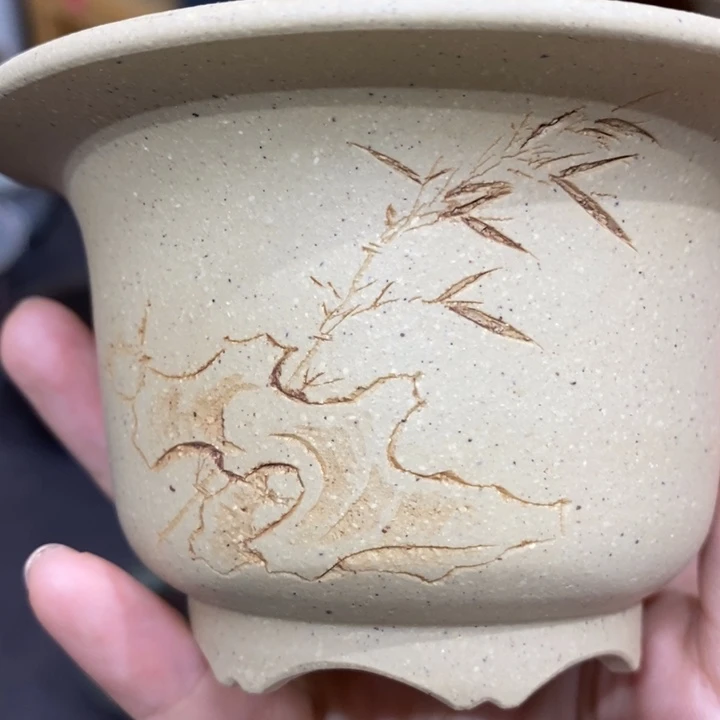 紫砂花盆橘*福利来啦