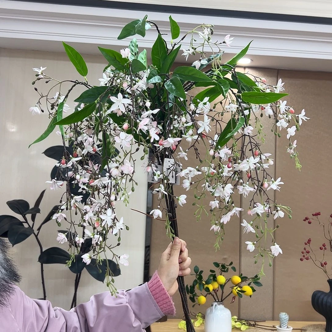 抖音直播间垂丝茉莉6支