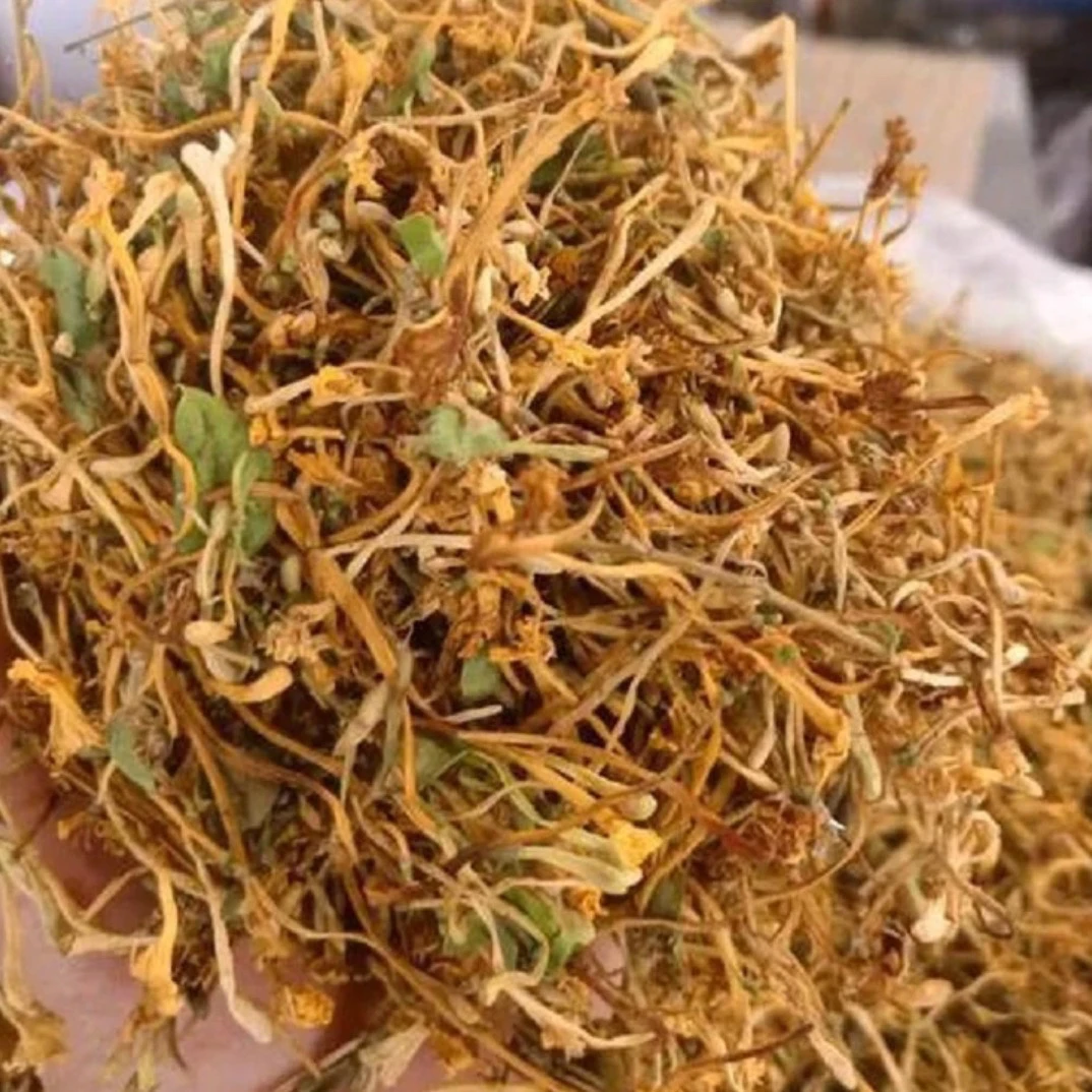 传敬堂/安化九龙池高山荒野金银花茶煮水泡水