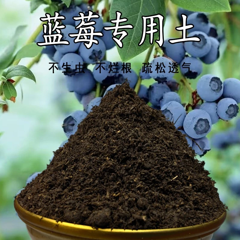 蓝莓专用土蓝莓树营养土瓜果树通用土壤蓝莓盆栽种植土有机土肥料