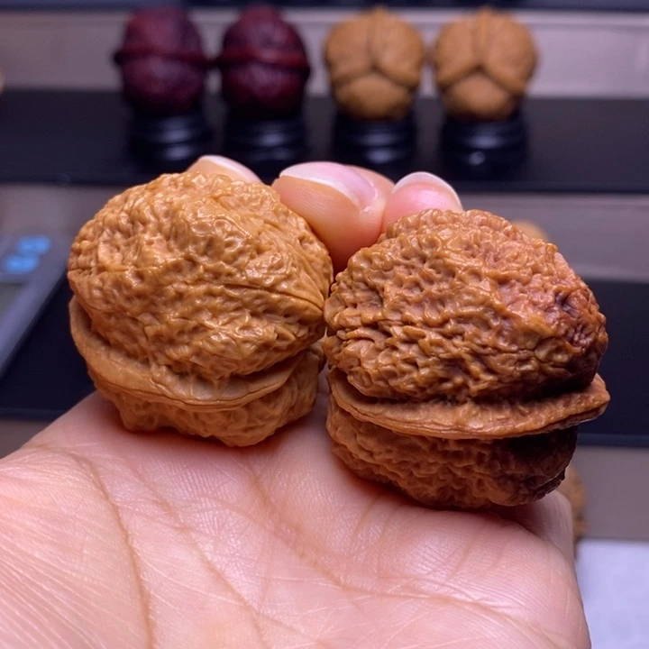 把件文玩核桃招财五毒蟾12