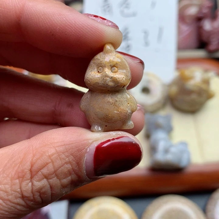 硅化珊瑚（珊瑚玉）颈饰未镶嵌