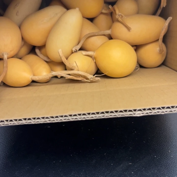 是***～1558888889996688599