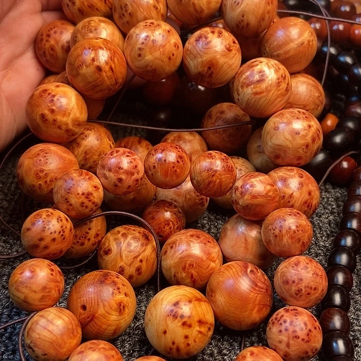 无事牌柏木（崖柏）太行崖柏树生而成树种一根树苗树