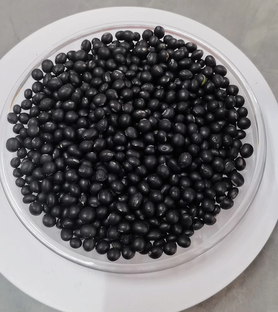 精选绿芯黑豆黑皮绿心可煮粥打豆浆的五谷杂粮