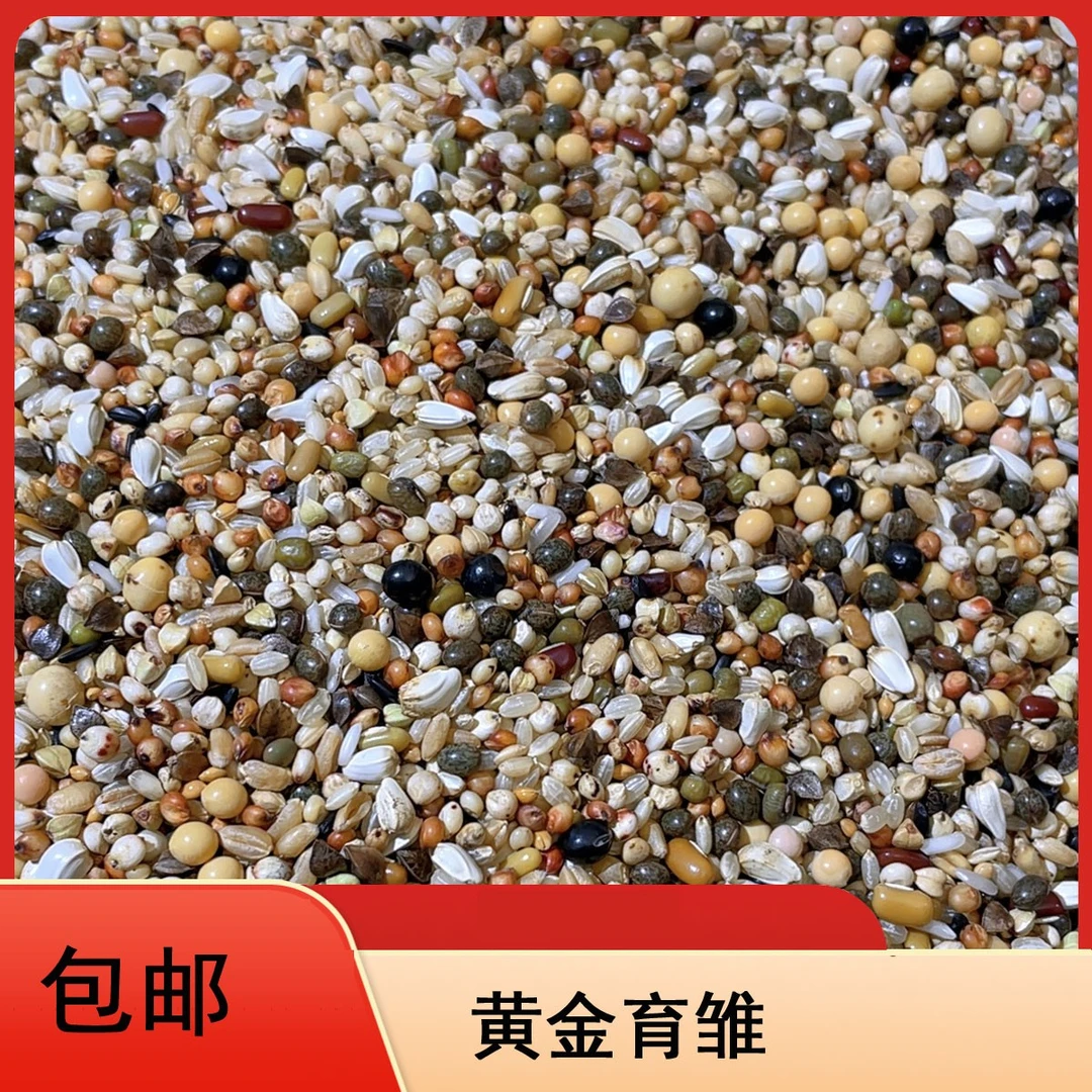 龙领鸽粮 黄金育雏粮10/20/50斤包邮喷窝小颗粒种鸽赛鸽信鸽鸽粮