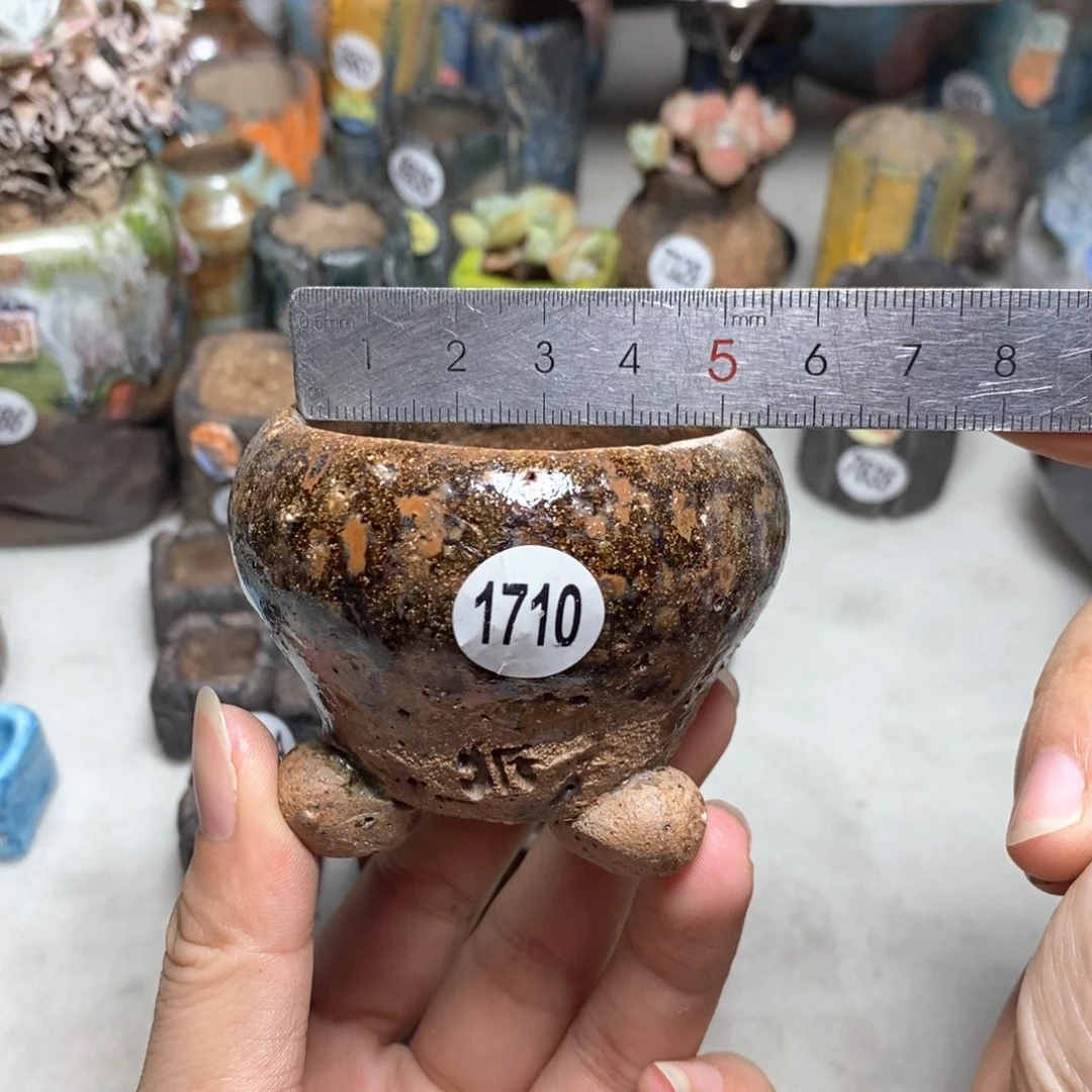 拍3送一9.9的拍5送同款