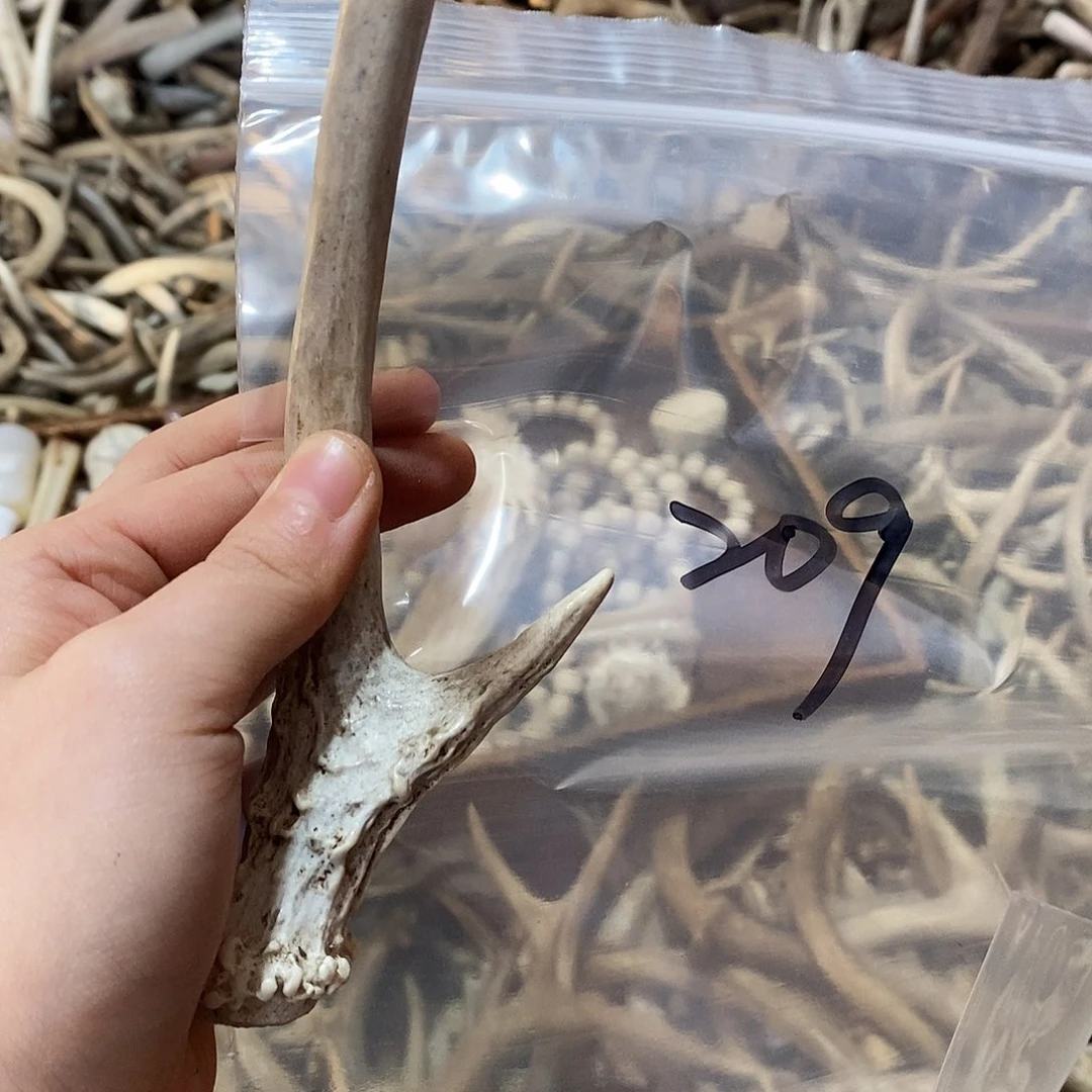 用***6非金属鹿角鹿角鹿角