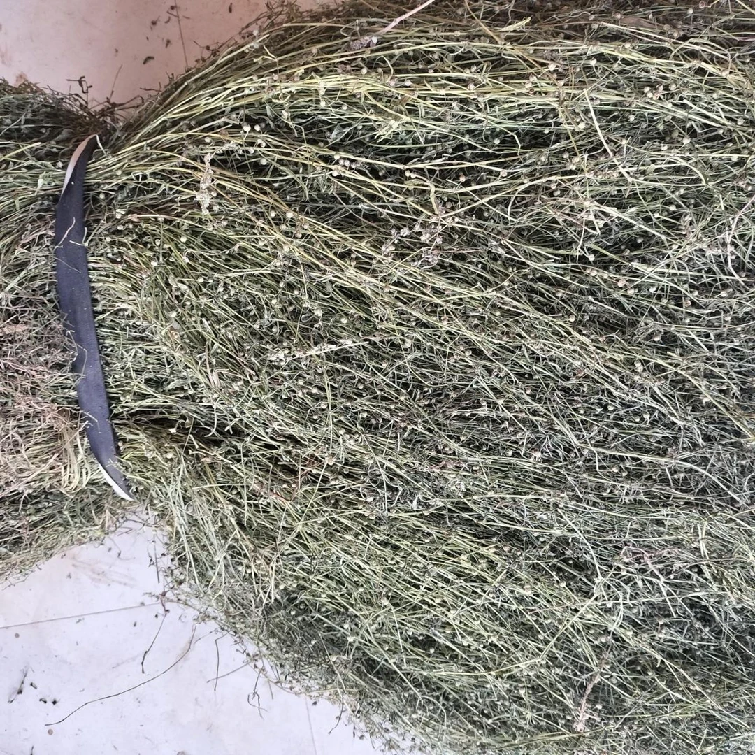 正宗中药材白花蛇舌草干货整颗