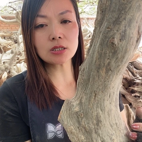 文玩核桃吊坠永*哈哈哈哈哈哈哈哈哈