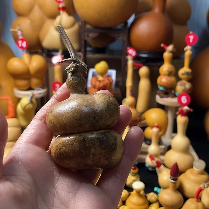 小***火葫芦丝老师在讲英语听力