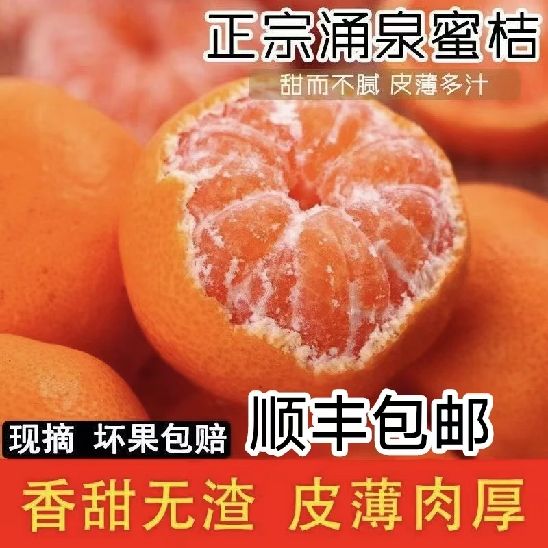 《金2专属》浙江高山现摘正宗临海涌泉蜜桔当季新鲜无核橘子礼盒装