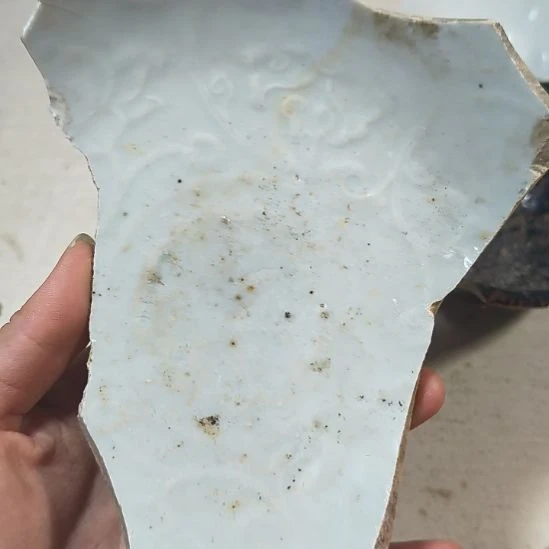 瓷片瓷片瓷片瓷片瓷片