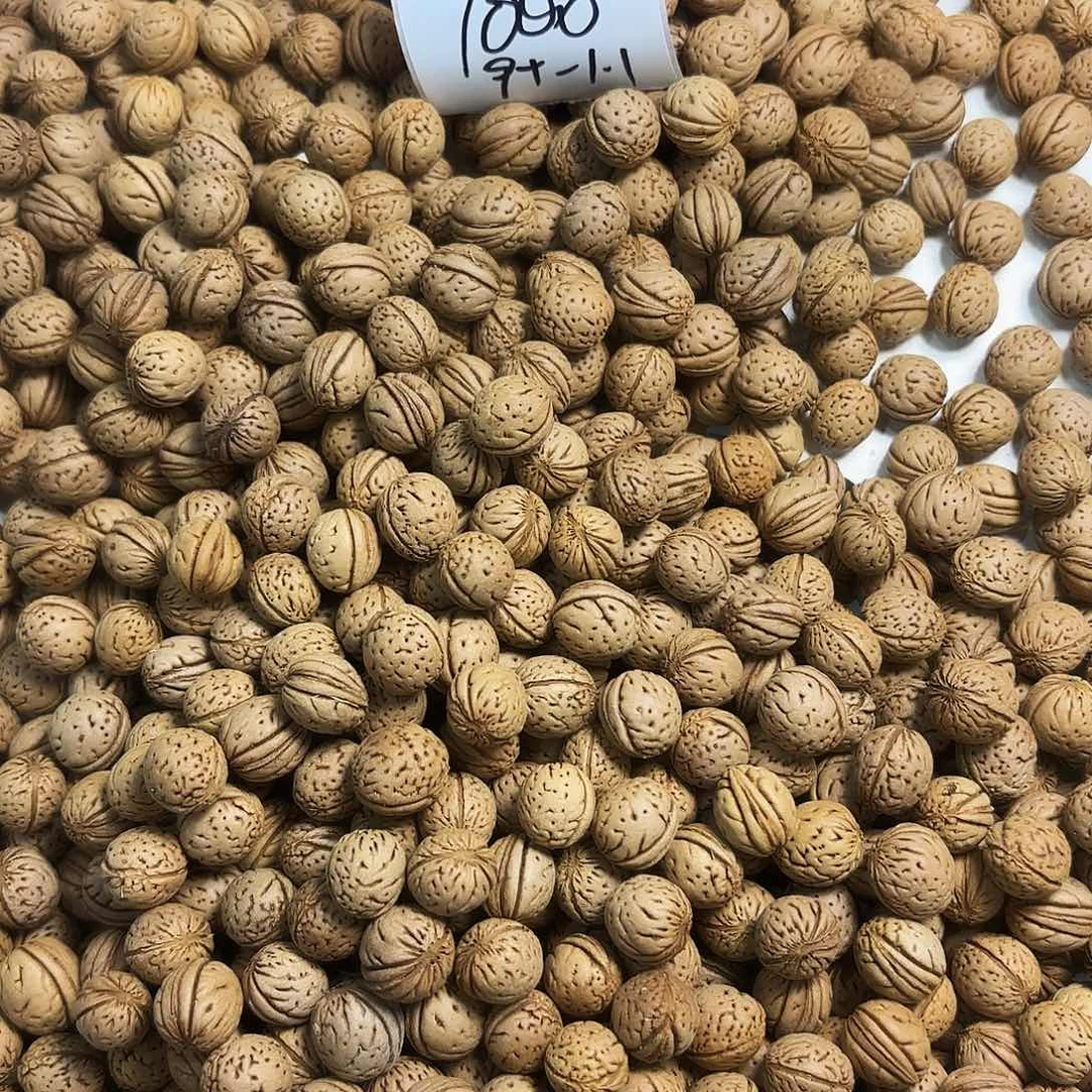 电***包桃核吊坠福利多多