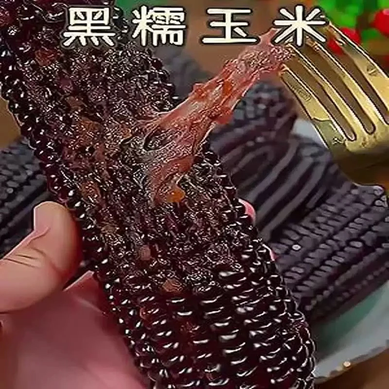 寿阳甜糯黑玉米香甜粘糯玉米甜玉米甜糯玉米糯玉米新鲜真空装