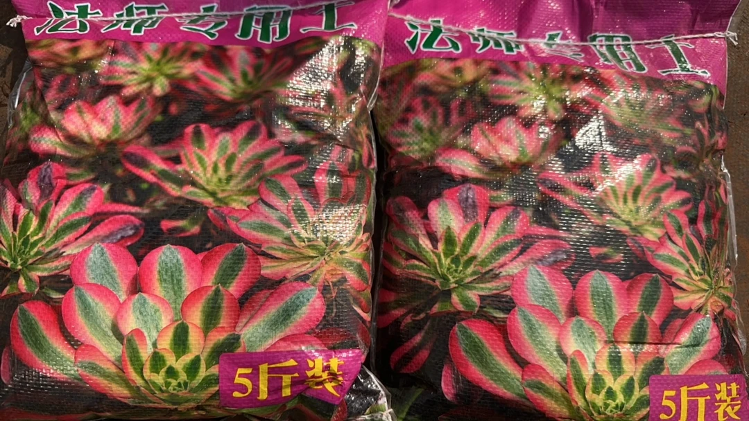 多肉法师专用土袋装