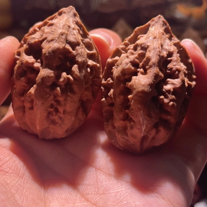 吊坠文玩核桃楸玥核78