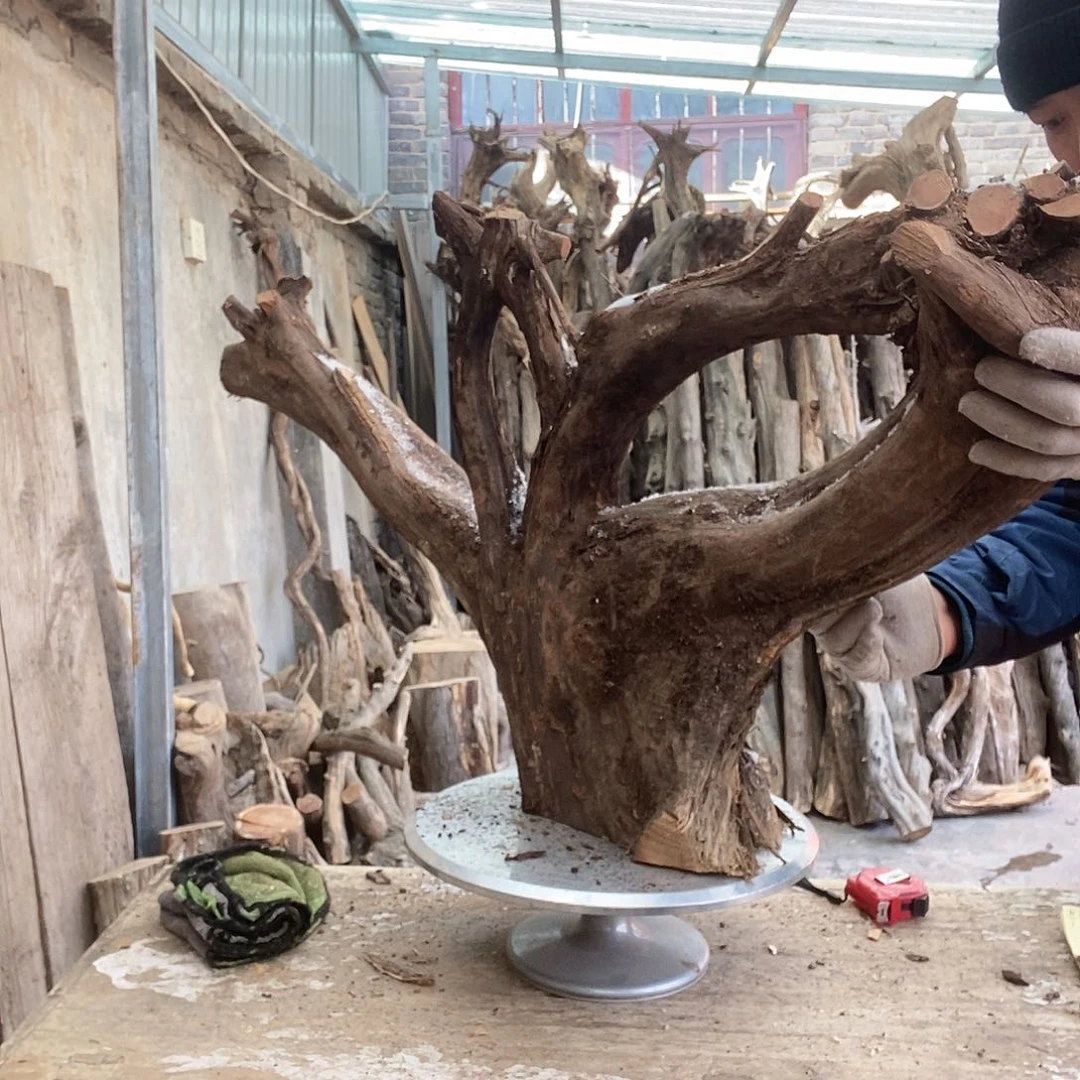 兆*太行的太行太行