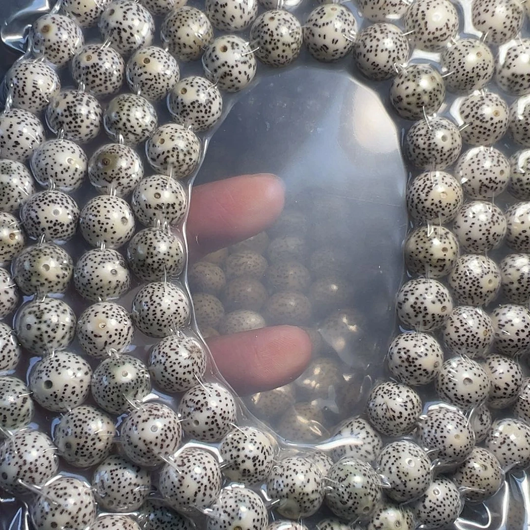 遇***开手串星月菩提星月菩提原生态