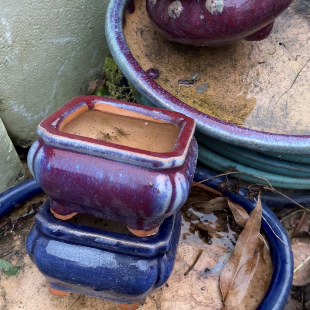 ****痕福利优惠一物一拍