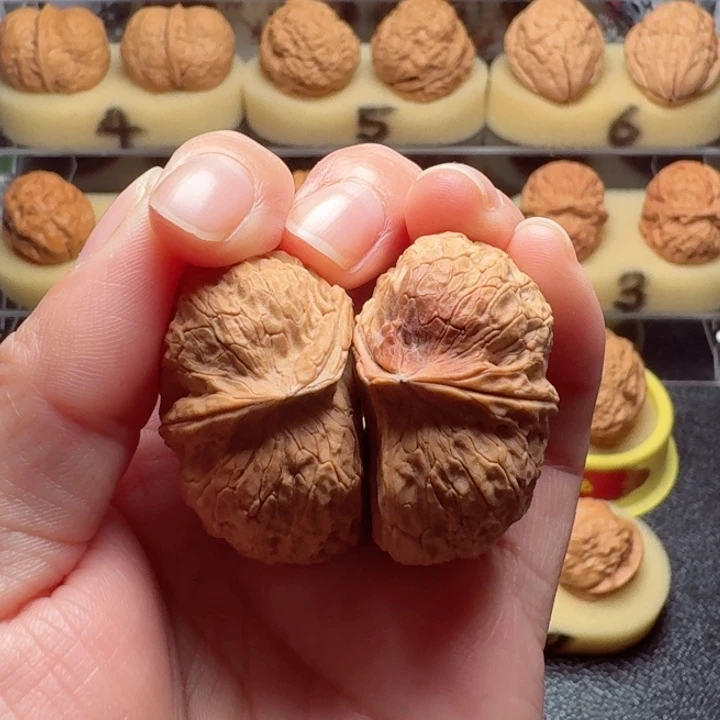 文玩核桃把件23号车