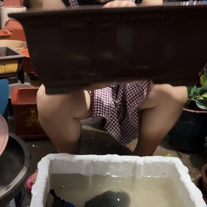 40素面马槽花盆花盆花盆花盆